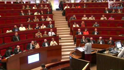 Avis du CESE sur le projet de loi de programmation pour un nouveau modèle énergétique français