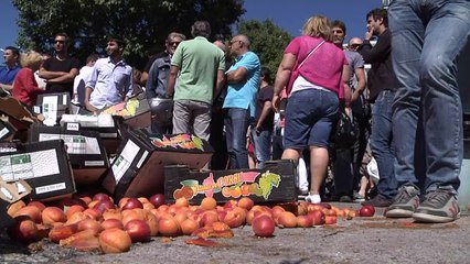 Le siège de la SNCM saccagé à Bastia