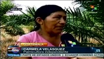 Gobierno de Guatemala promete apoyos a agricultores y no cumple