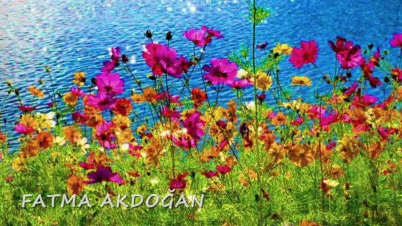 GRUP ABDAL-YAYLA ÇİÇEĞİMİSİN