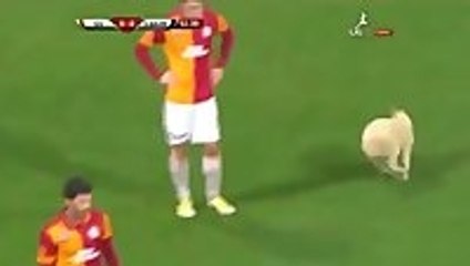 Soccer game interrupted by two puppies running onto the field