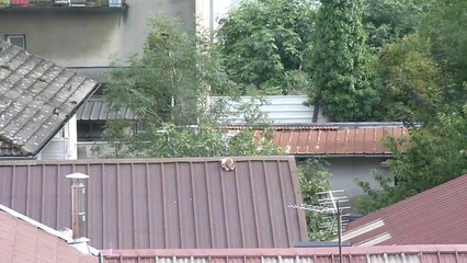 Le Grand Voyage Sur Place - Jour 13 - 9 juillet 2014