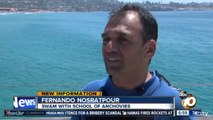 Massive School Of Anchovies Spotted Near San Diego