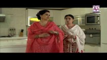 Jahan Araa Begum Episode 87 By HUM SITARAY - 9th July 2014