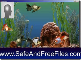 Get Marine Aquarium Time 2.0 Serial Number Free Download