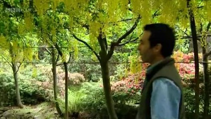 A Garden In Snowdonia - 2 - Bodnant Blooming