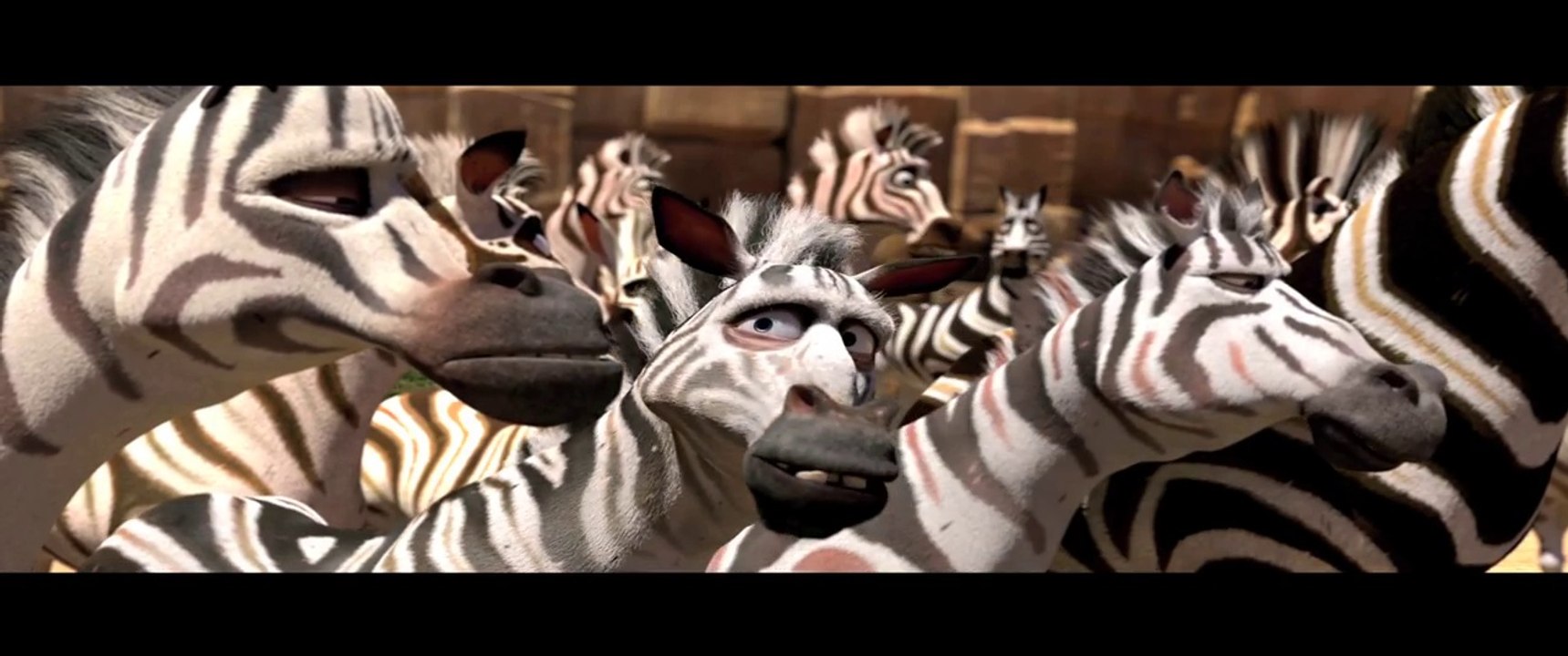 Cesur Zebra Türkçe Fragman