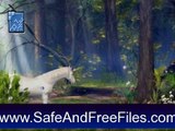 Get Mistery Forest - Animated Screensaver 5.07 Activation Code Free Download