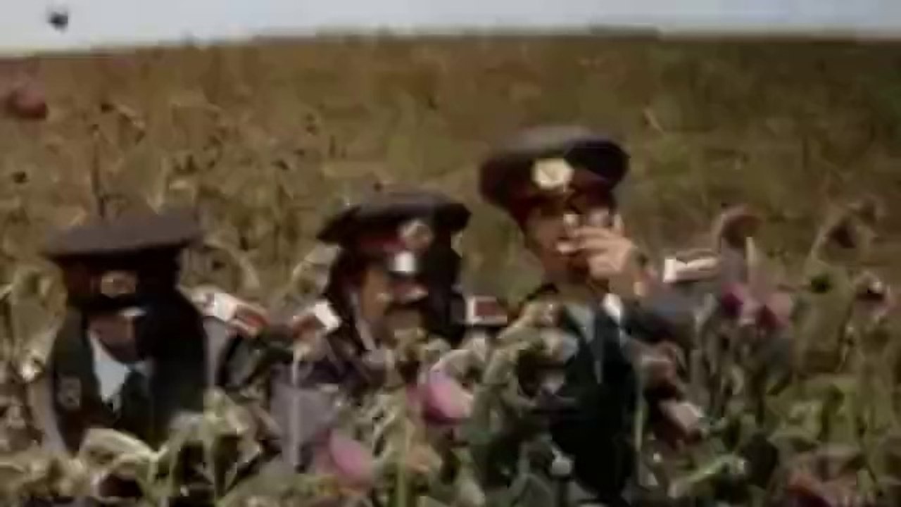 Bande-annonce : Chat noir chat blanc