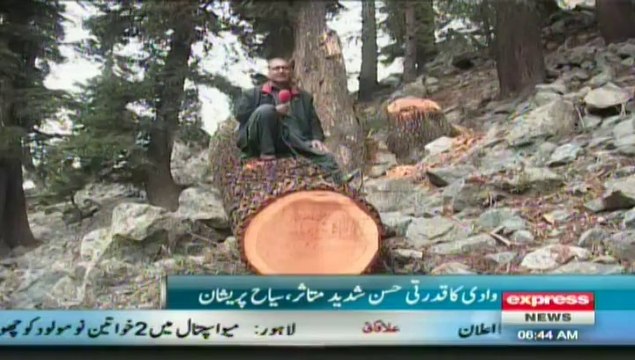 PKG on brutally cutting of forest in swat valley report by sherin zada