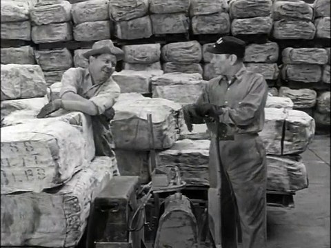 Loan Shark Video Dailymotion