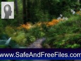 Get Nature Illusion Screensaver 4.50 Serial Number Free Download
