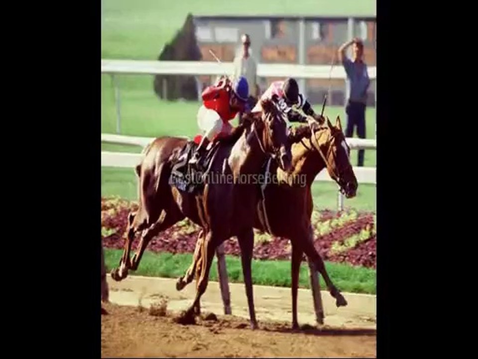 online horse betting legal texas  legal horse betting sites in US