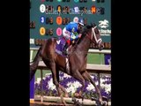 horse racing online betting legal  legal horse betting sites in US