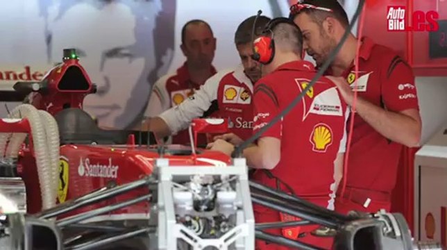 Adelanto G.P Gran Bretaña 2014