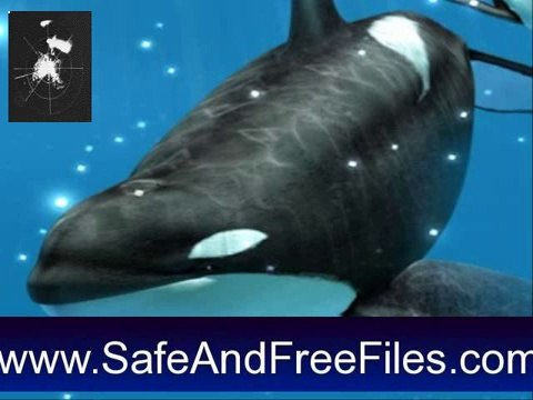 Get Orca's Dream 1.0 Serial Code Free Download