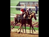 horse betting legal in india  legal horse betting sites in US
