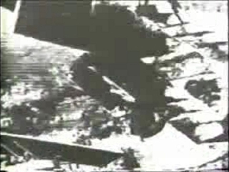 Les cadavres - basta