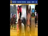 why is online horse betting legal  legal horse betting sites in US