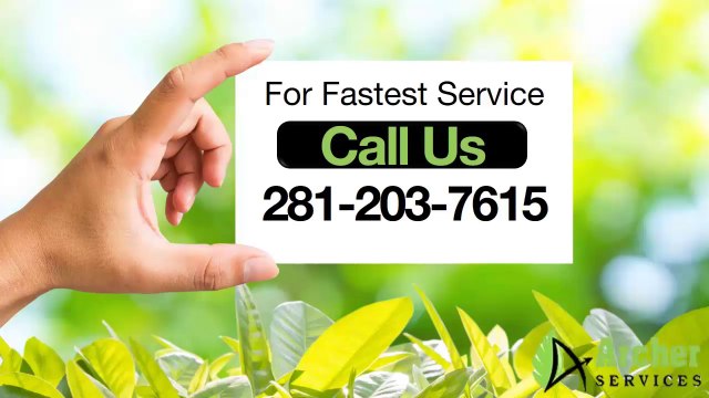 Landscaping And Lawn Care Recommended By Experts