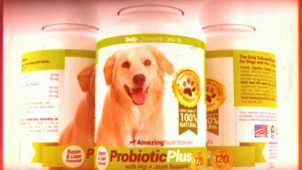 Joint Medicine For Dogs - How To Avoid Surgery and Pain Meds