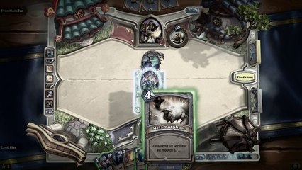 [N°11] Deck Mage Secrets vs Paladin