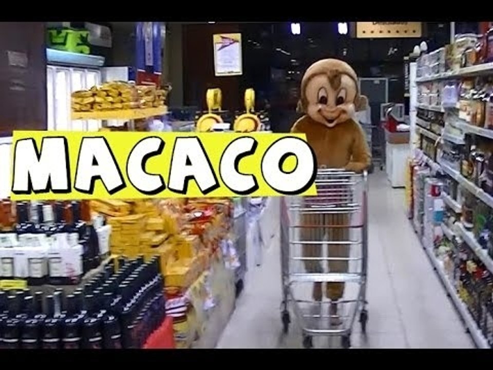 Macaco