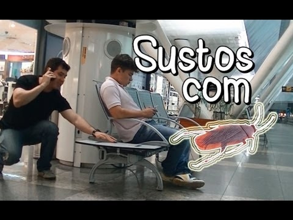 Sustos com barata