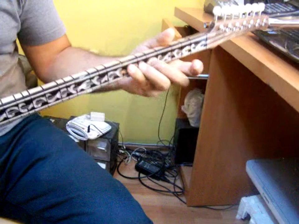 CEVİZ KISA SAP PROFESYONEL BAĞLAMA