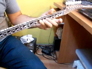 CEVİZ KISA SAP PROFESYONEL BAĞLAMA