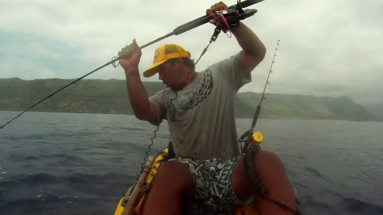 Pêcheur dans un kayak rencontre un requin