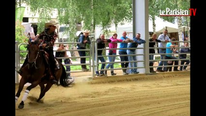 Découvrez le Reining : l'équitation façon western