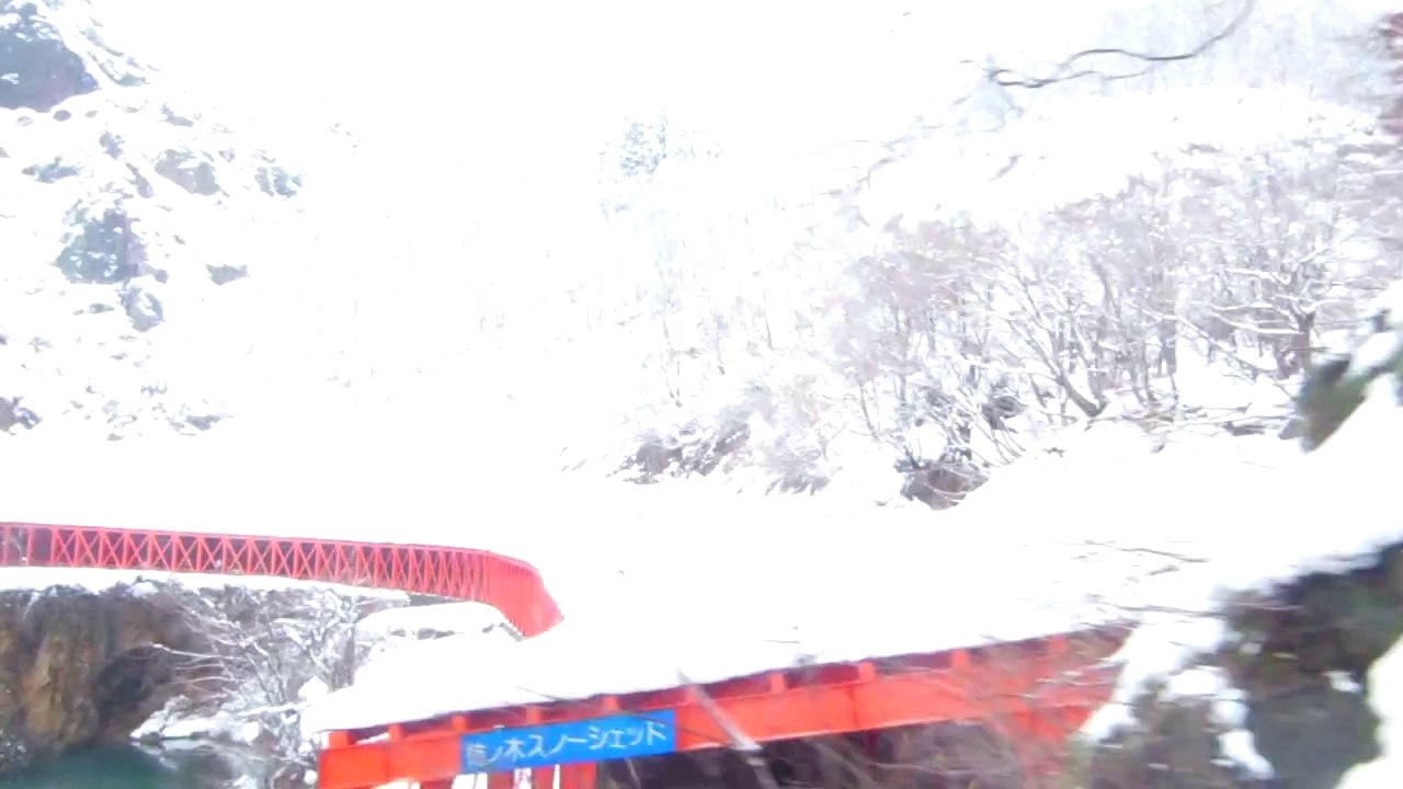 秘境駅通過してみた・・・（ぼくらの柿の木）