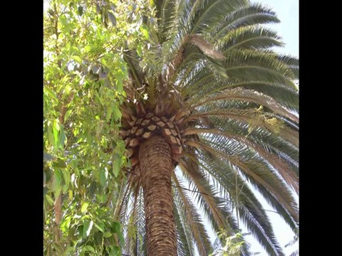 Santa Paula CA Foreclosures - 2 Bedroom Homes For Sale