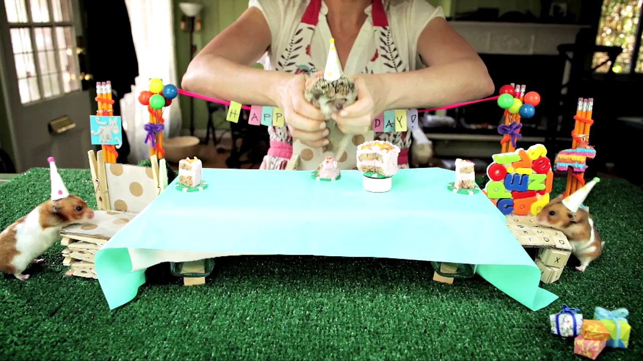 Mini anniversaire pour tout petit Hérisson trop mimi!