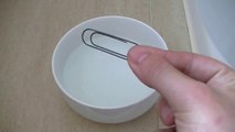 Bent Memory Paper Clip Reverts Back To Original Shape When Dropped In Water