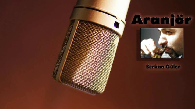 Gece Yolcuları-Meyhaneler Sen /Karaoke/Altyapı