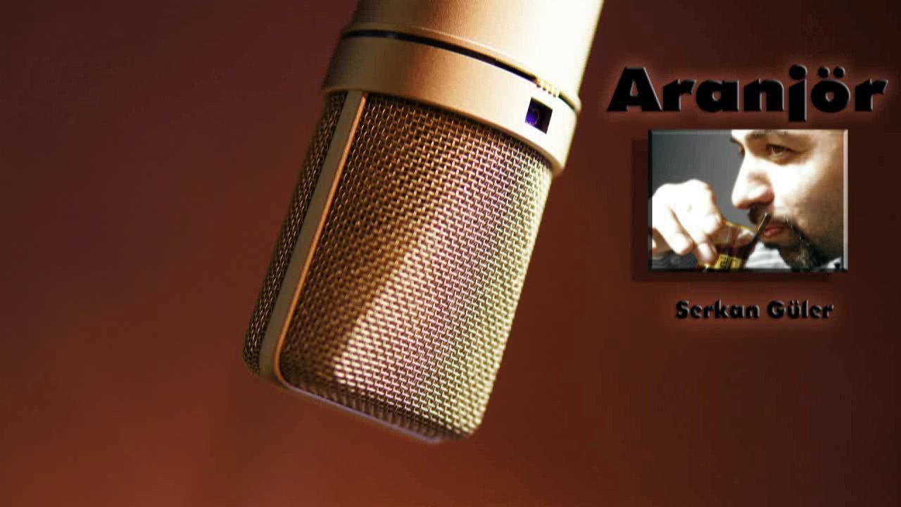 Gece Yolcuları-Meyhaneler Sen /Karaoke/Altyapı