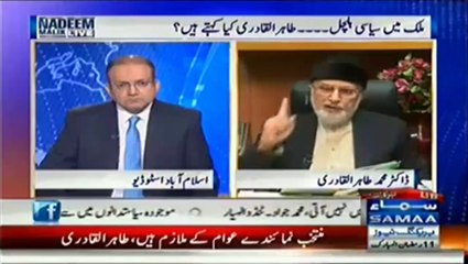 These are Maafia not Government and they rejected Constitution of Pakistan Dr Tahir ul Qadri