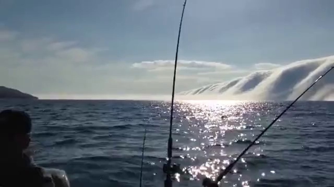 What The Fog - Looks like a wave on pause