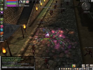 Test Transform Skill Effect with Crow [First Step]