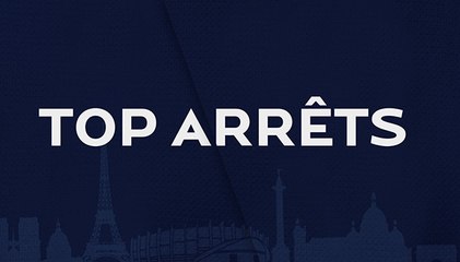 Les plus beaux arrêts de la saison 2013-2014
