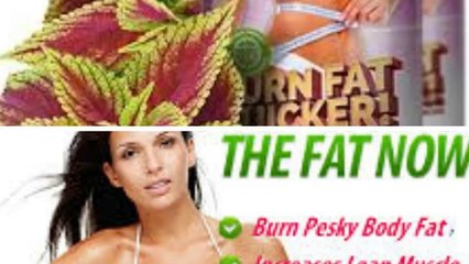Attention: Premium Pure Forskolin Review - Do not BUY ! Read First !
