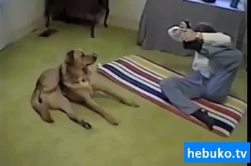 Sağlıklı yaşam için yoga yapan köpek :) :)