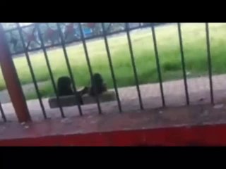 Girlfriends Hot Videos for Fun 🎥