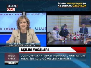 Birgül Ayman Güler, açılım yasasını değerlendiriyor