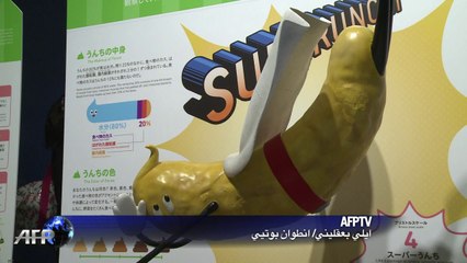 رحلة للاطفال الى داخل مرحاض ضخم في اليابان