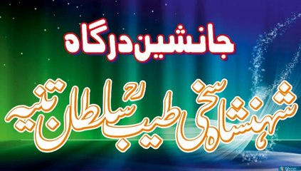 04 Urs Sakhi Shehensha 2013 Sabri 02