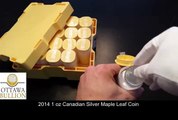 2014 1 oz Canadian Silver Maple Leaf Coins. Ottawa Silver Dealer