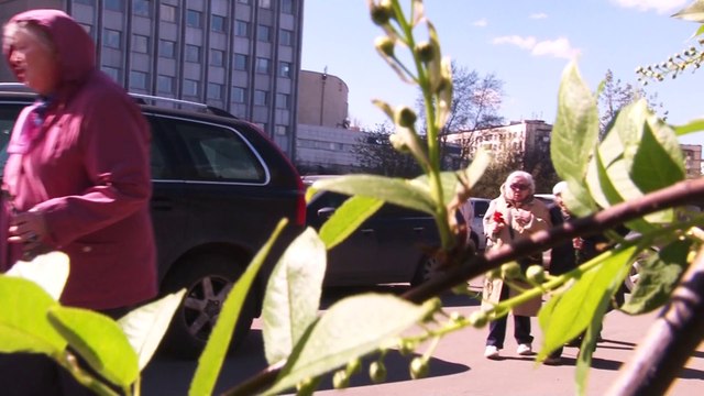 Сотрудничество и помощь Бизнес-центра «Нагатинский» ветеранам «НИИТавтопром»